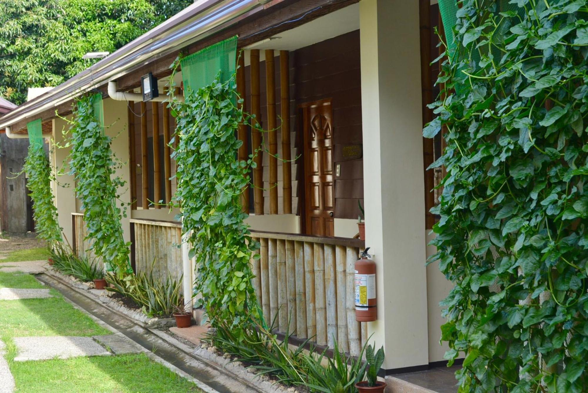 Chiisai Natsu Resort Bolod  Dış mekan fotoğraf